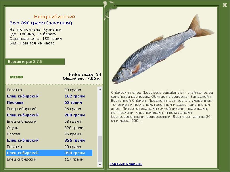 На берегу 