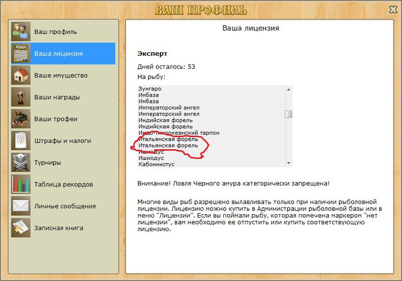 Баги и глюки 