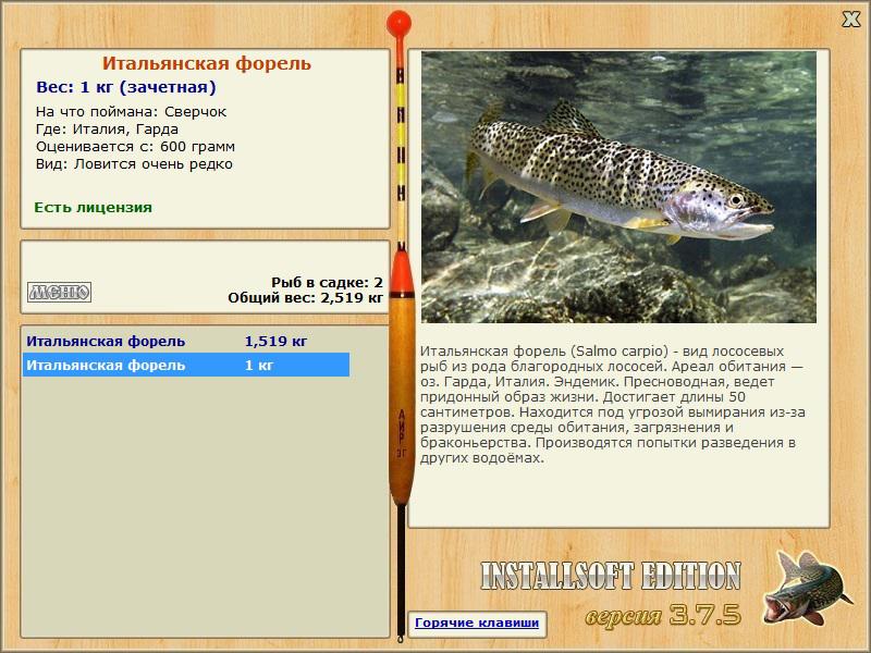 Баги и глюки 