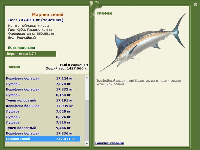 Марлин синий 