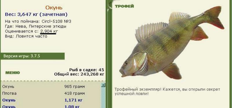 Баги и глюки 
