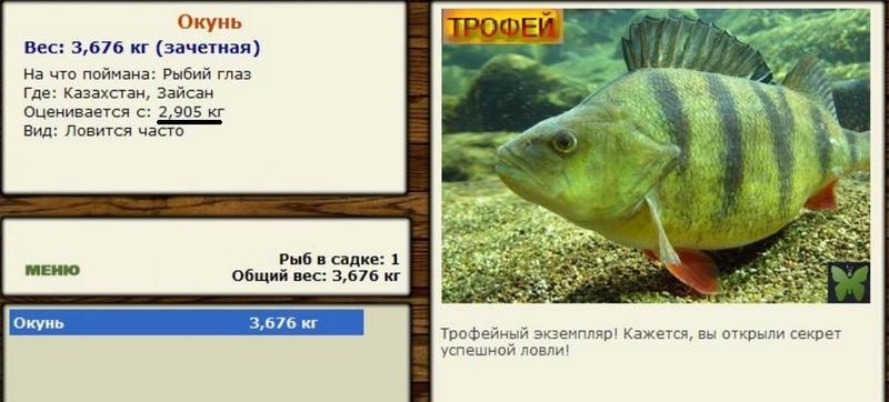 Баги и глюки 