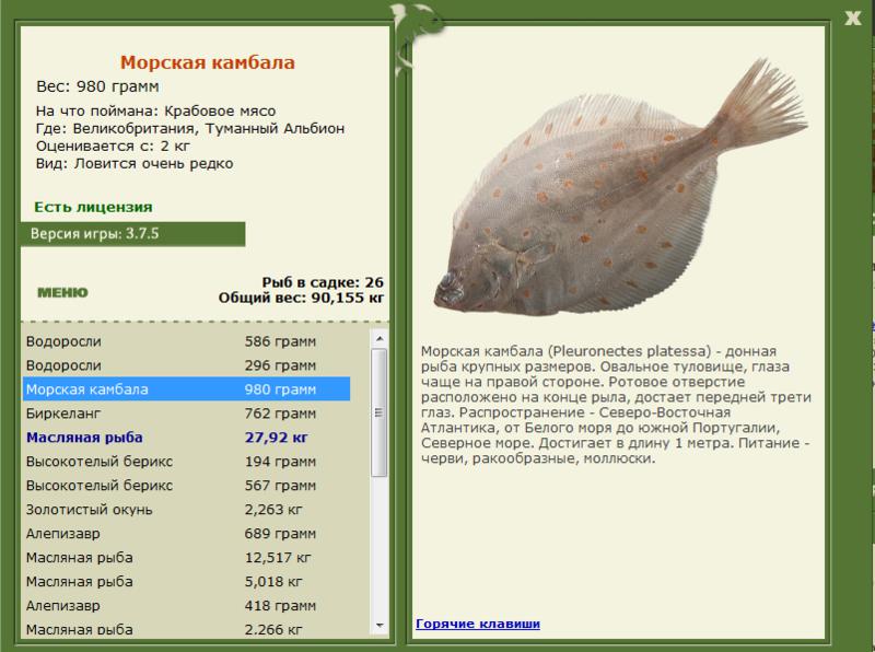 Туманный Альбион 