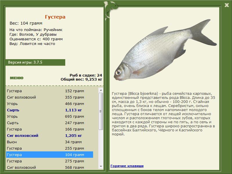 турниры • РУССКАЯ РЫБАЛКА