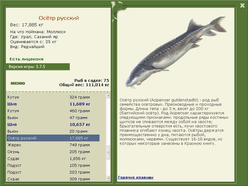 РУССКАЯ РЫБАЛКА Installsoft Edition 