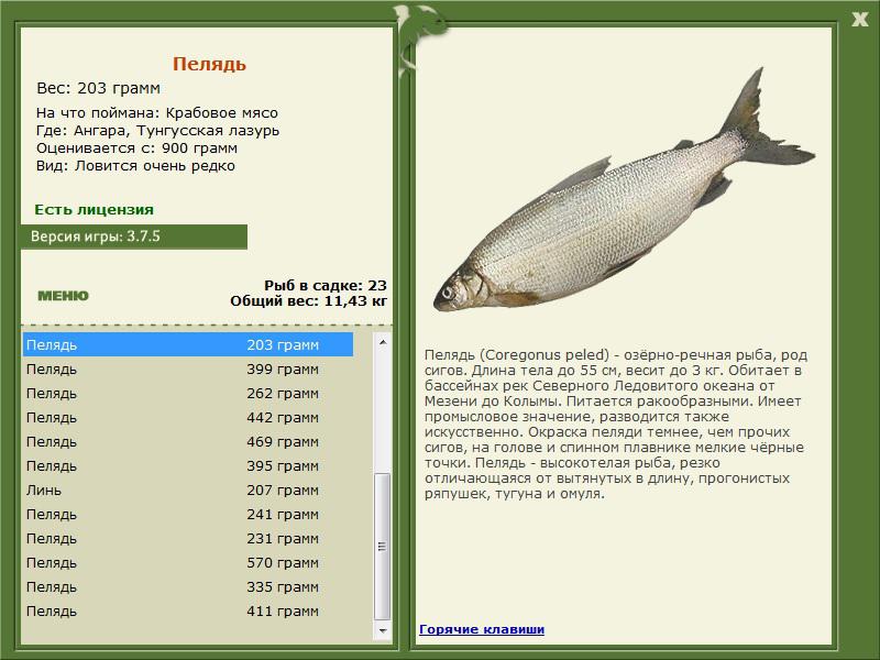 РУССКАЯ РЫБАЛКА Installsoft Edition 