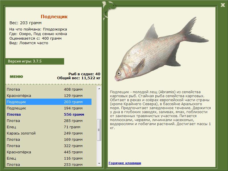 РУССКАЯ РЫБАЛКА Installsoft Edition 