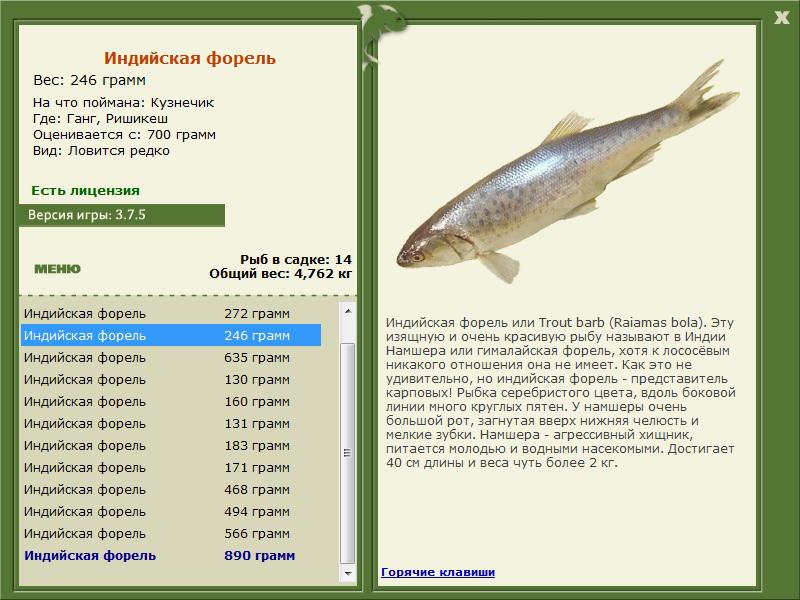 РУССКАЯ РЫБАЛКА Installsoft Edition 