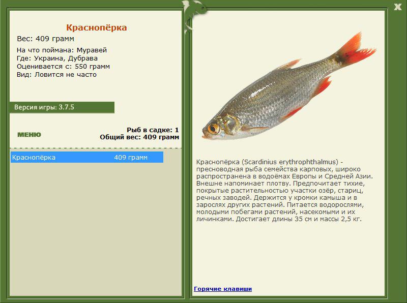 РУССКАЯ РЫБАЛКА Installsoft Edition 