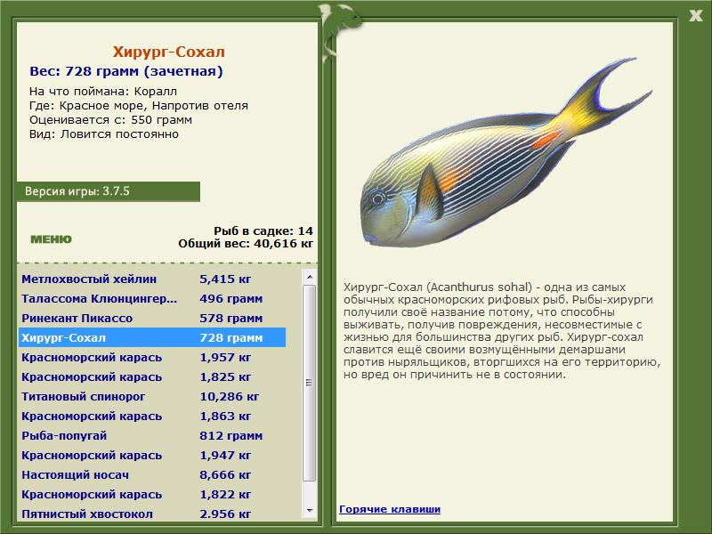 Красное море 
