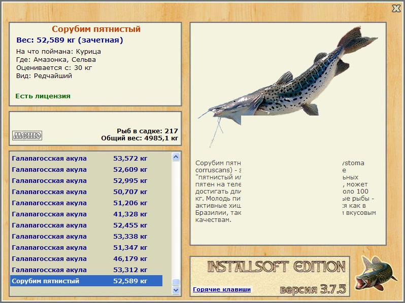 турниры • РУССКАЯ РЫБАЛКА