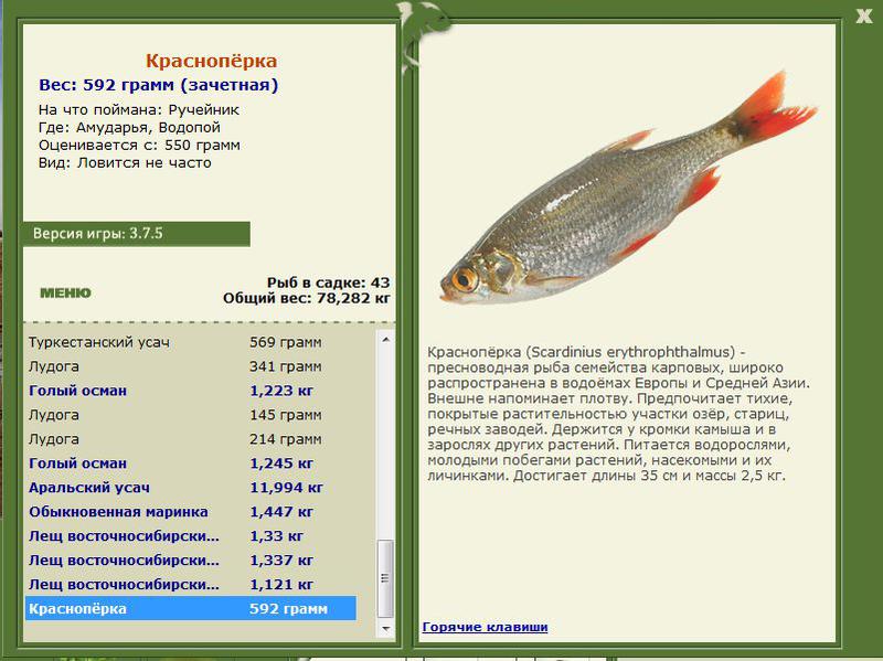 РУССКАЯ РЫБАЛКА Installsoft Edition 
