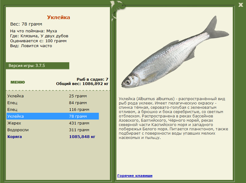 Клязьма 