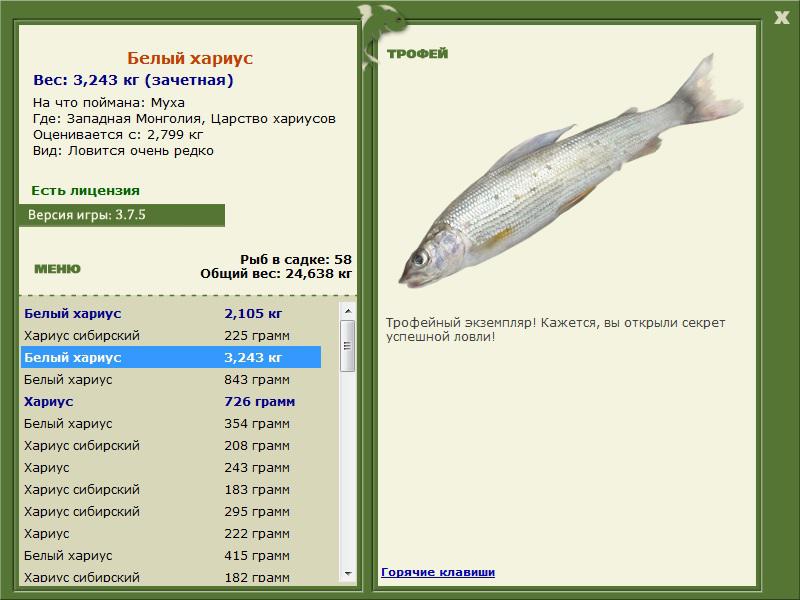 Царство хариусов 