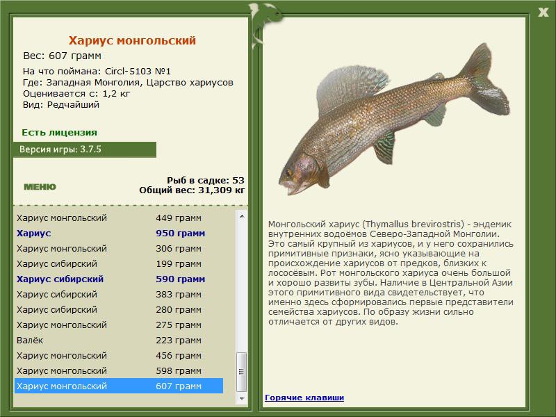 Царство хариусов 