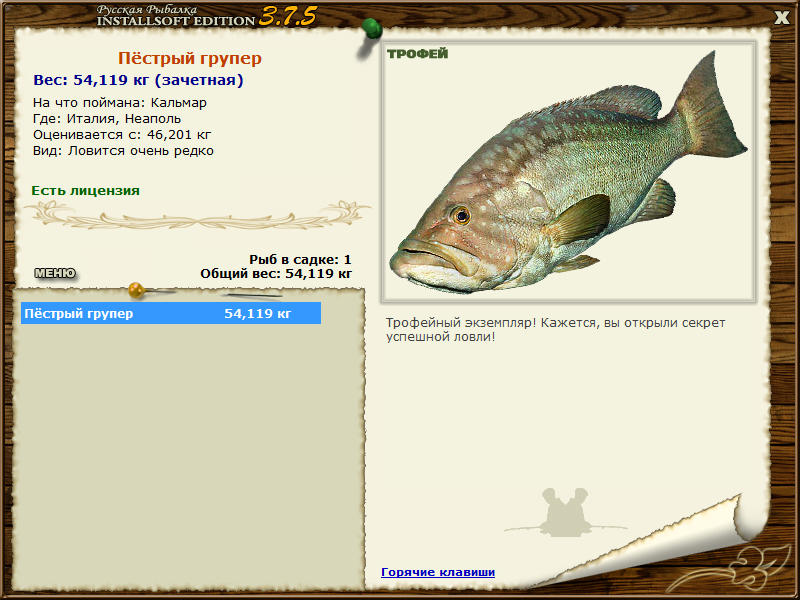 Пёстрый групер 