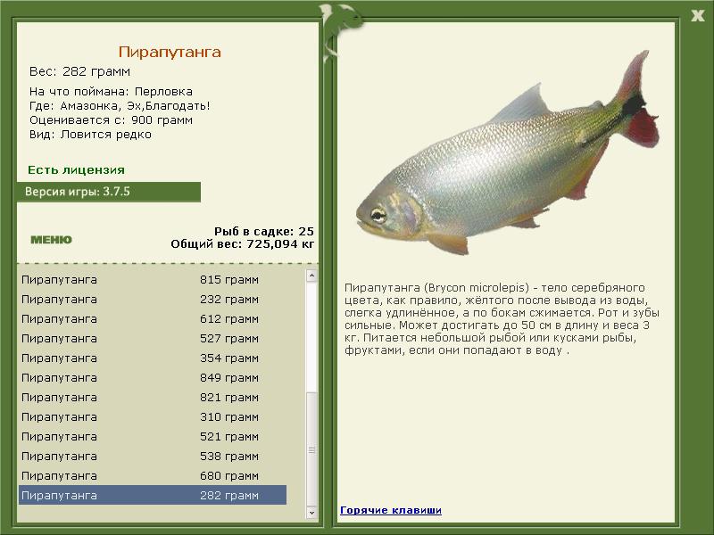 РУССКАЯ РЫБАЛКА Installsoft Edition 