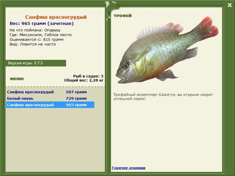 Гиблое место 