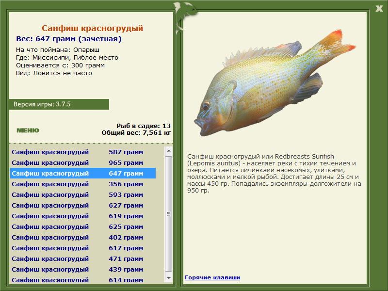 Гиблое место 