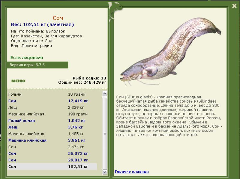 турниры • РУССКАЯ РЫБАЛКА