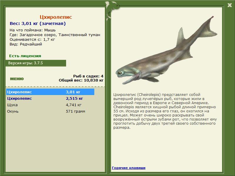 Таинственный туман 
