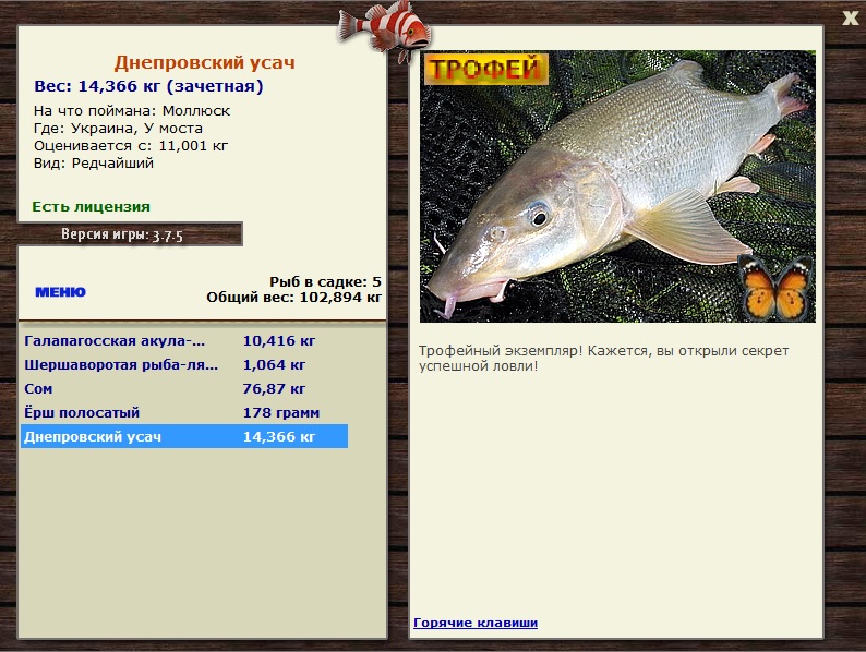 Моллюск 