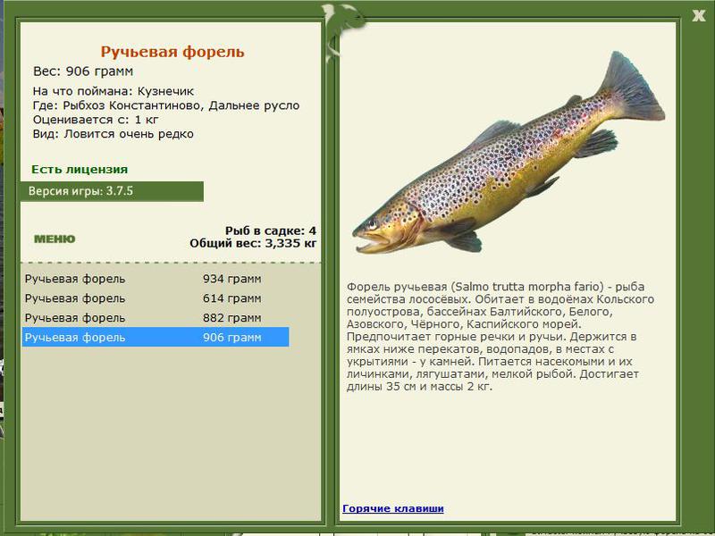 РУССКАЯ РЫБАЛКА Installsoft Edition 