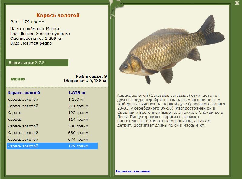 РУССКАЯ РЫБАЛКА Installsoft Edition 