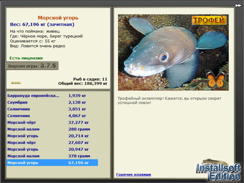 Морской угорь 