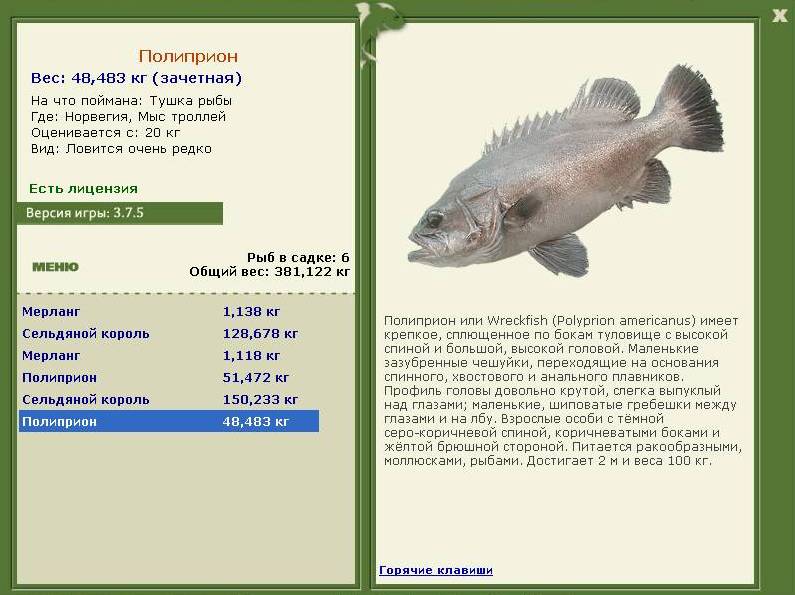 турниры • РУССКАЯ РЫБАЛКА
