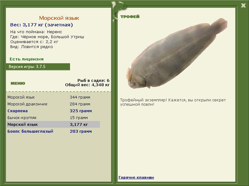 Морской язык 
