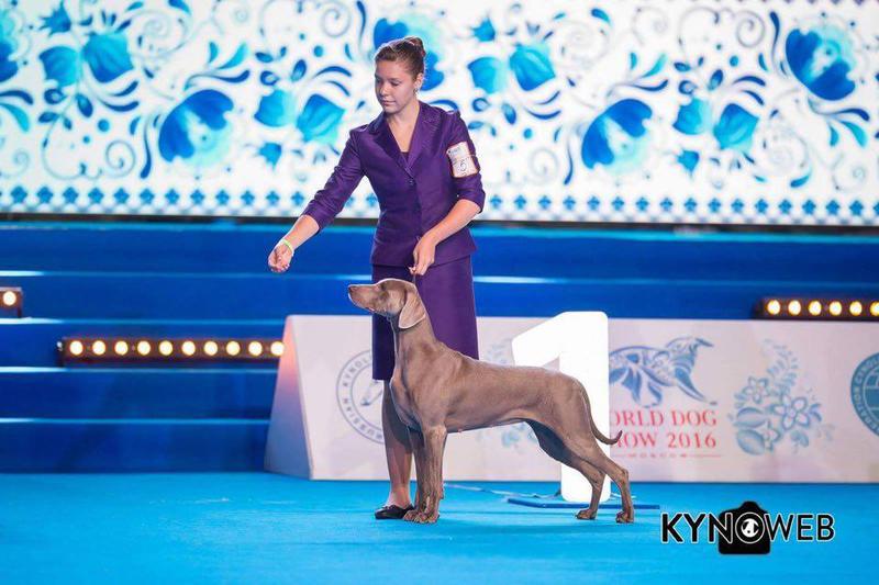  Просмотр темы - Мои девочки - Настюша и Виктория Лексис Идиллия (Ютта)