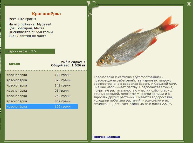 РУССКАЯ РЫБАЛКА Installsoft Edition 
