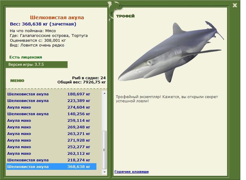 Шелковистая акула 