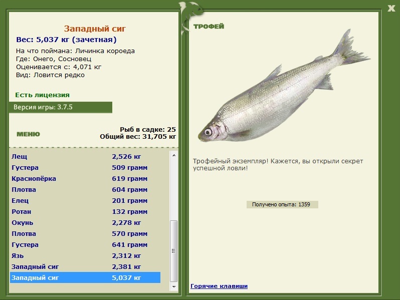 Сосновец 
