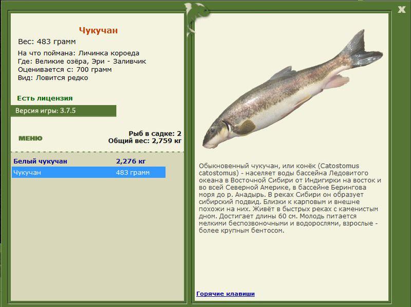 РУССКАЯ РЫБАЛКА Installsoft Edition 