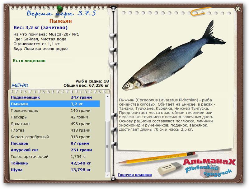 Озеро Байкал 