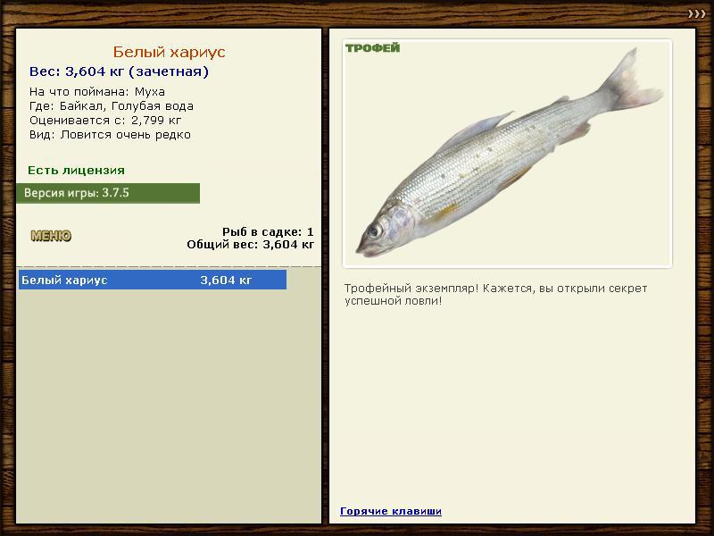 Голубая вода 