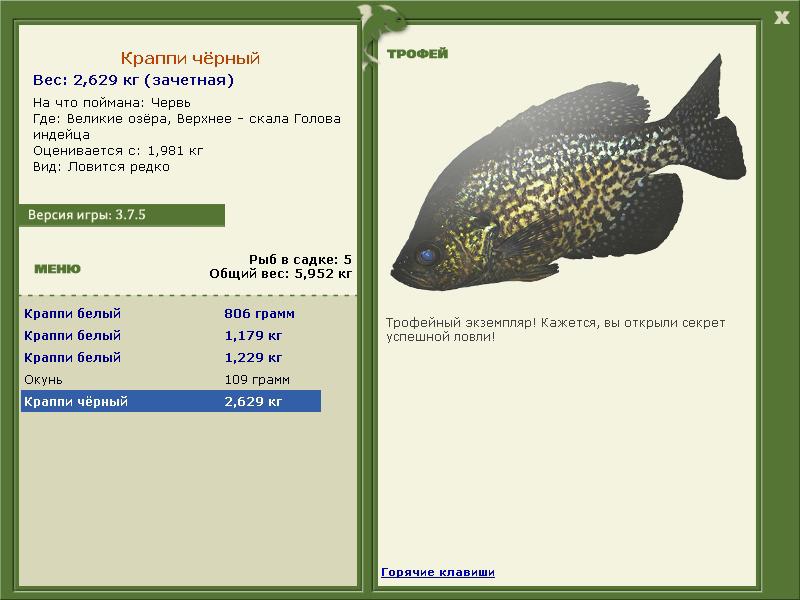 Краппи чёрный 