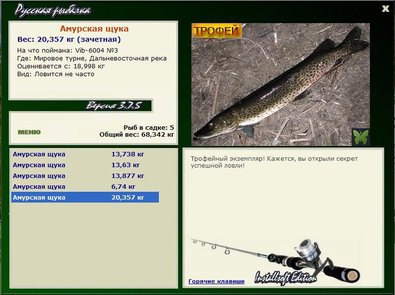 Амурская щука 