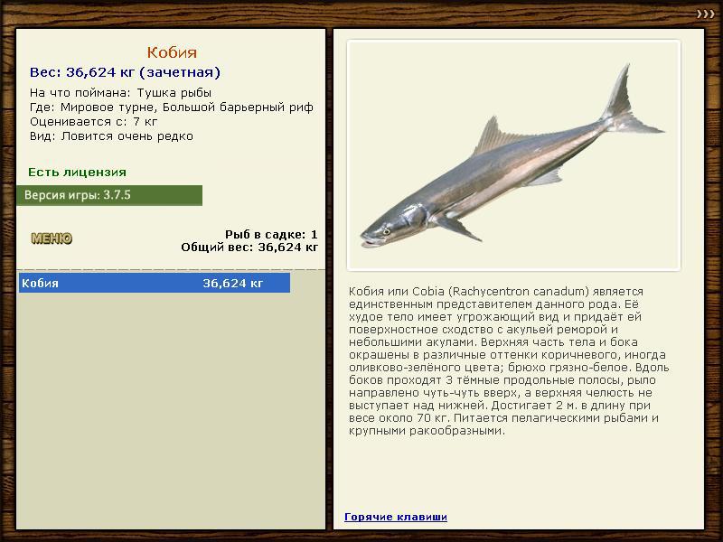 Большой барьерный риф 