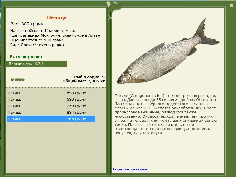 РУССКАЯ РЫБАЛКА Installsoft Edition 