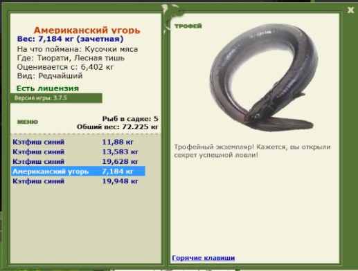 Американский угорь 