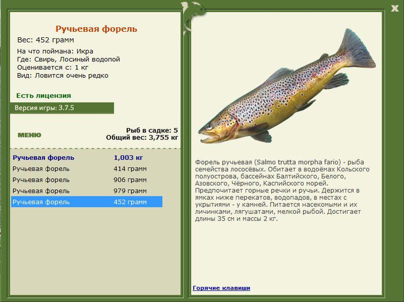 РУССКАЯ РЫБАЛКА Installsoft Edition 
