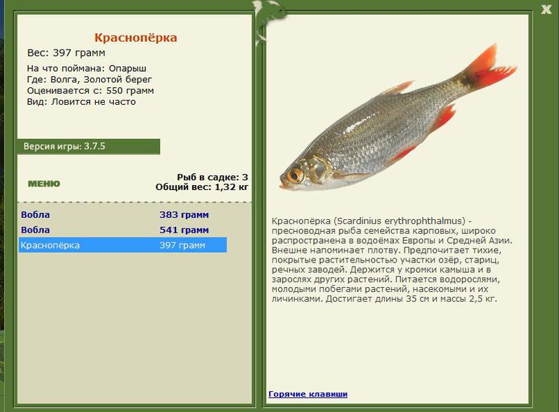 РУССКАЯ РЫБАЛКА Installsoft Edition 