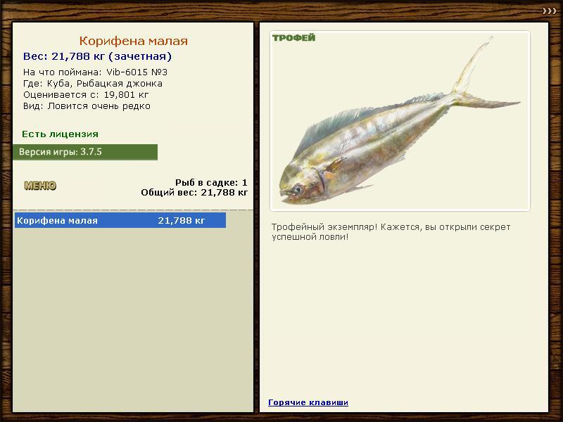 Рыбацкая джонка 