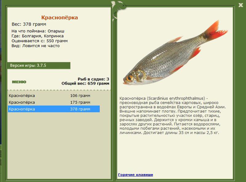 РУССКАЯ РЫБАЛКА Installsoft Edition 