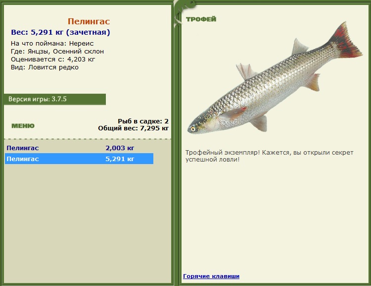 Пелингас 