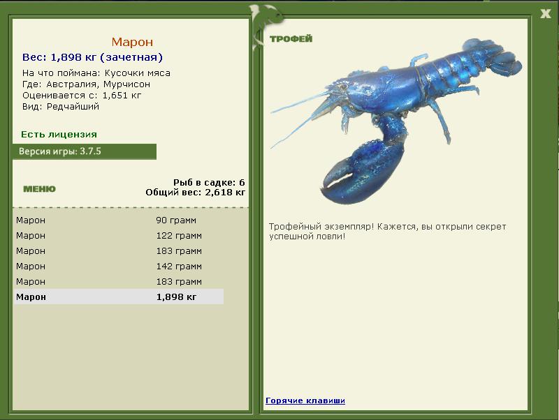 Мурчисон 