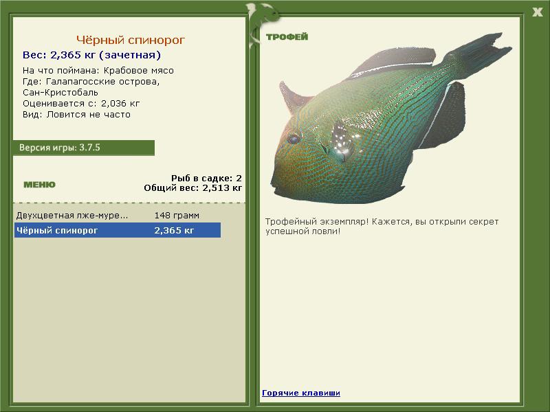 Чёрный спинорог 